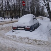 Шаховской подснежник